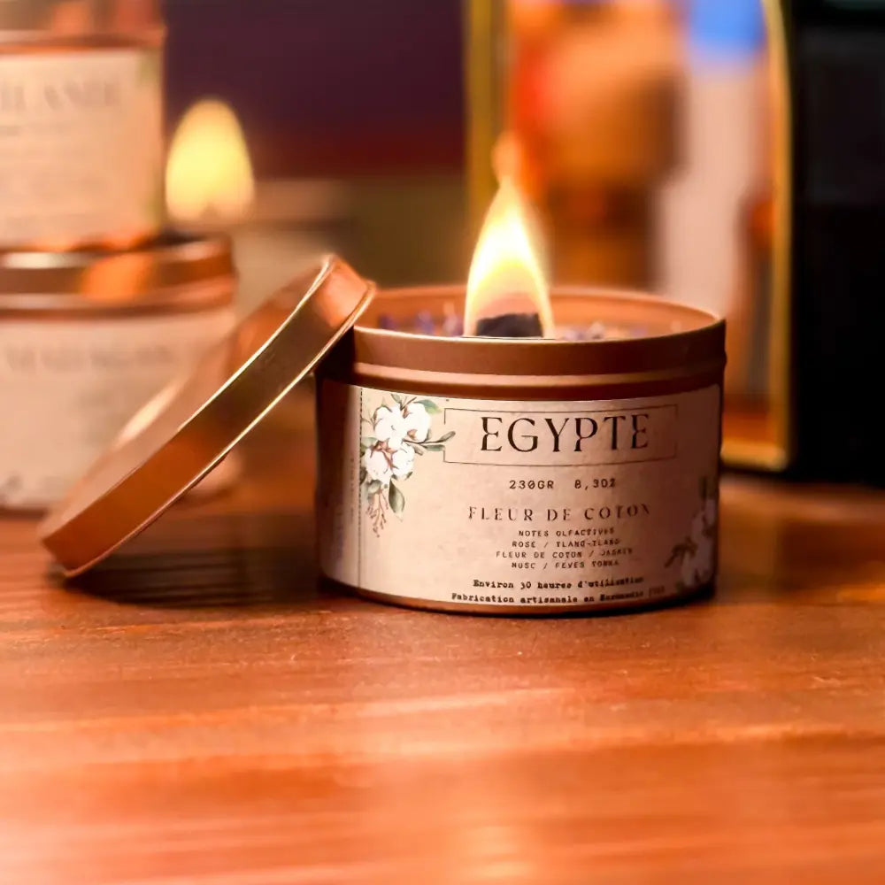 Egypte Maison Greyashe